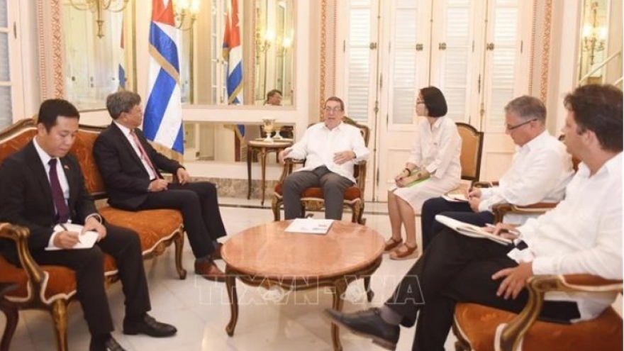 Cuban foreign minister spotlights special relations with Vietnam